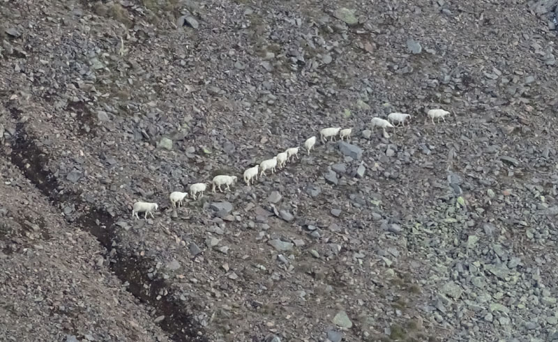 Catena dei Lagorai...da Pergine al Passo del Manghen